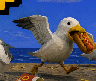 hotdog thief seagull